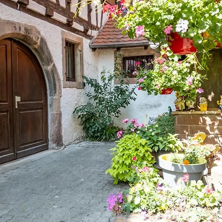 Apartamento L'alcove - Centre - Parking Proche - Cosy Obernai